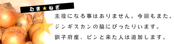 訓子府のたまねぎ